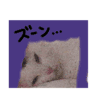 たまにこちゃん（個別スタンプ：13）
