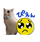 たまにこちゃん（個別スタンプ：16）