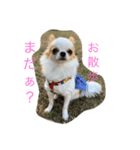 リンとユキ（個別スタンプ：1）