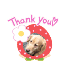 かわいい(๑♡ᴗ♡๑)（個別スタンプ：3）