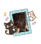 かわいい(๑♡ᴗ♡๑)（個別スタンプ：6）