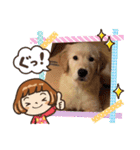 かわいい(๑♡ᴗ♡๑)（個別スタンプ：12）