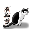 MeowMeowが来ています。（個別スタンプ：11）