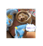 はるちゃんすたんぷ^_^（個別スタンプ：2）