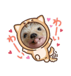 はるちゃんすたんぷ^_^（個別スタンプ：4）