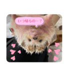 はるちゃんすたんぷ^_^（個別スタンプ：5）