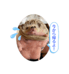 はるちゃんすたんぷ^_^（個別スタンプ：7）