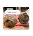 はるちゃんすたんぷ^_^（個別スタンプ：8）