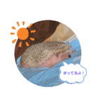 はるちゃんすたんぷ^_^（個別スタンプ：10）