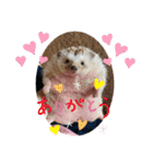 はるちゃんすたんぷ^_^（個別スタンプ：12）
