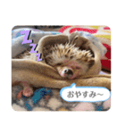 はるちゃんすたんぷ^_^（個別スタンプ：14）