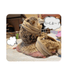 はるちゃんすたんぷ^_^（個別スタンプ：16）