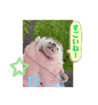 はるちゃんすたんぷ^_^（個別スタンプ：18）