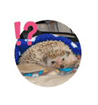 はるちゃんすたんぷ^_^（個別スタンプ：23）