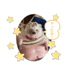 はるちゃんすたんぷ^_^（個別スタンプ：24）