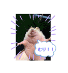 はるちゃんすたんぷ^_^（個別スタンプ：25）