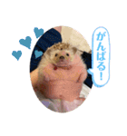 はるちゃんすたんぷ^_^（個別スタンプ：28）
