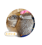 はるちゃんすたんぷ^_^（個別スタンプ：29）