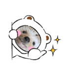 はるちゃんすたんぷ^_^（個別スタンプ：30）