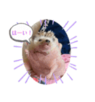はるちゃんすたんぷ^_^（個別スタンプ：32）