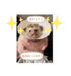はるちゃんすたんぷ^_^（個別スタンプ：34）