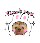 はるちゃんすたんぷ^_^（個別スタンプ：35）
