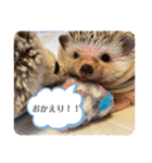 はるちゃんすたんぷ^_^（個別スタンプ：37）
