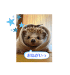 はるちゃんすたんぷ^_^（個別スタンプ：38）