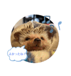 はるちゃんすたんぷ^_^（個別スタンプ：39）