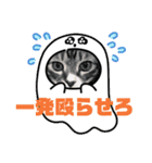 うちの猫でっせ⑦（個別スタンプ：8）