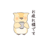 ひよっこフクロウ（個別スタンプ：10）