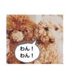 Duffy と Coco（個別スタンプ：3）
