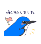 鳥たちのあいさつスタンプ！（個別スタンプ：35）