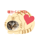 ぶち犬とたまちゃん2（個別スタンプ：1）