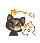 ぶち犬とたまちゃん2（個別スタンプ：3）