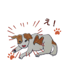 ぶち犬とたまちゃん2（個別スタンプ：9）