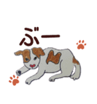 ぶち犬とたまちゃん2（個別スタンプ：11）