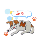 ぶち犬とたまちゃん2（個別スタンプ：14）
