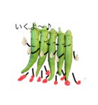 野菜の日々（個別スタンプ：1）
