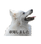 ケイとサラ（個別スタンプ：6）