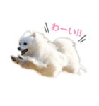 ケイとサラ（個別スタンプ：11）