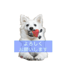 ケイとサラ（個別スタンプ：13）