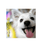 ケイとサラ（個別スタンプ：14）