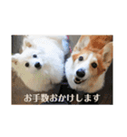 ケイとサラ（個別スタンプ：21）
