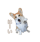 ケイとサラ（個別スタンプ：31）