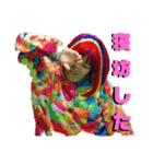 ともちピンクのLINEスタンプ（個別スタンプ：6）