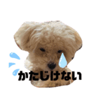 ナラファミリー18（個別スタンプ：8）