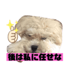 ナラファミリー18（個別スタンプ：12）