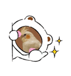 ゆずとラムネの日常（個別スタンプ：4）