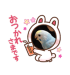 ゆずとラムネの日常（個別スタンプ：6）